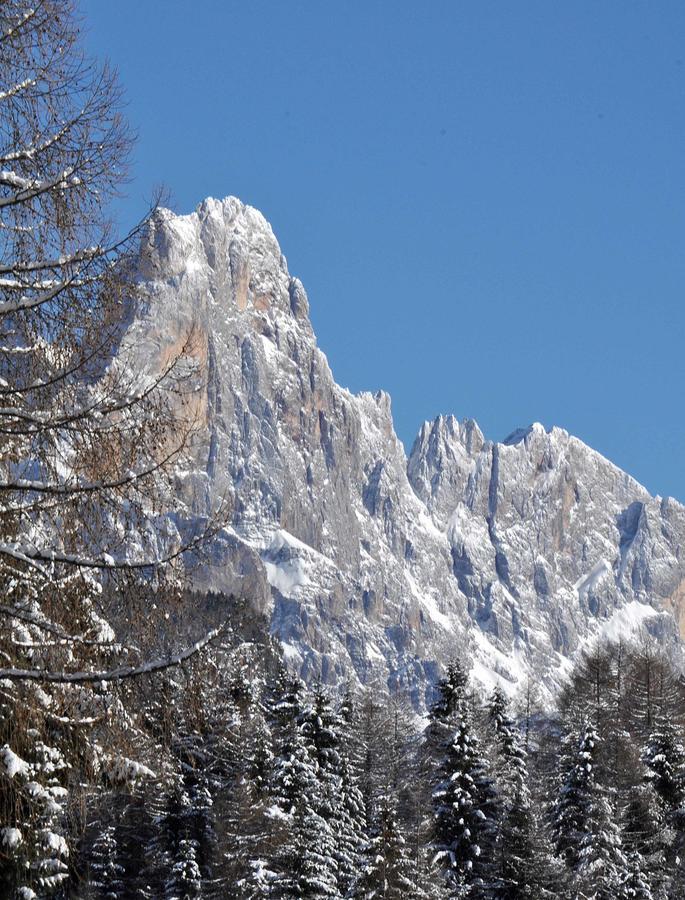 Albergo Antico Predazzo Exteriér fotografie