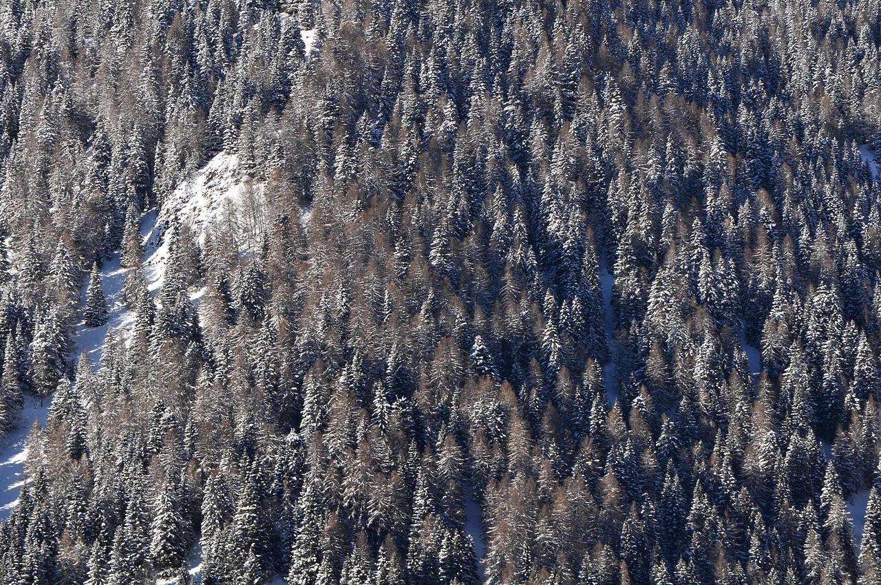 Albergo Antico Predazzo Exteriér fotografie